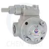 Heavy Oil Pump
