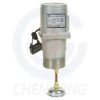 Gear Pump