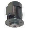 Vertical Motor With Cast Iron Frame